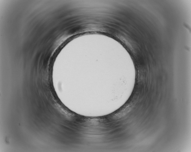 X0000095890828200801111154