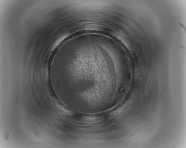 X0000095890829200801111154