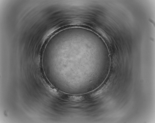 X0000095890831200801111154
