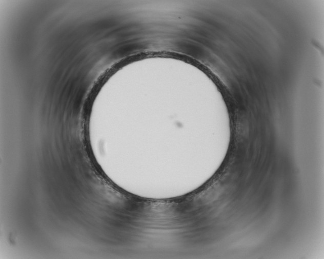 X0000095890832200801111154