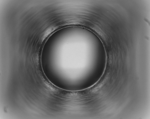 X0000095890834200801111154