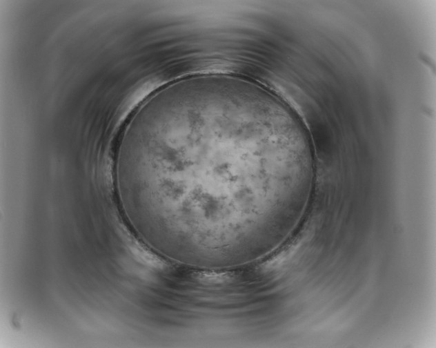 X0000095890835200801111154