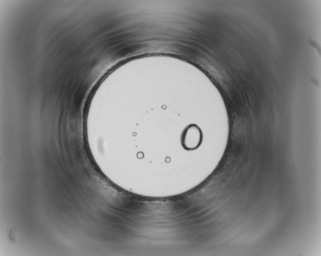 X0000095890836200801111154