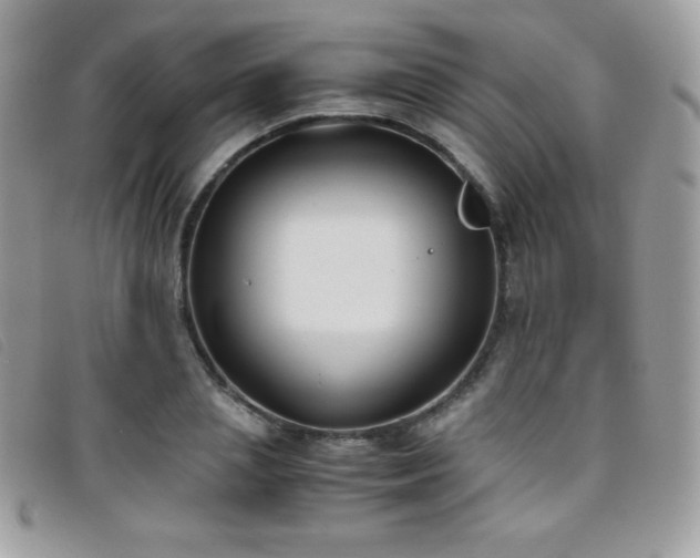 X0000095890837200801111154