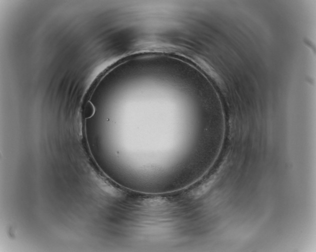 X0000095890838200801111154