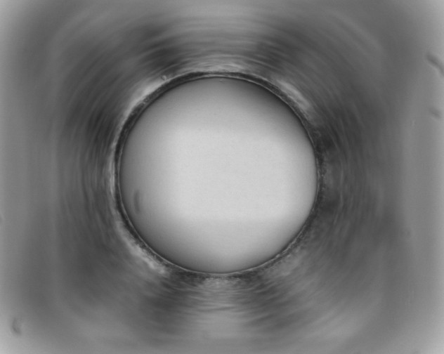 X0000095890840200801111154