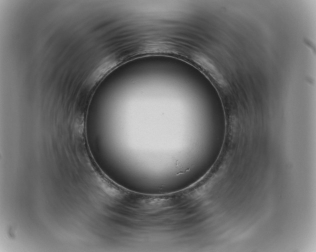 X0000095890841200801111154