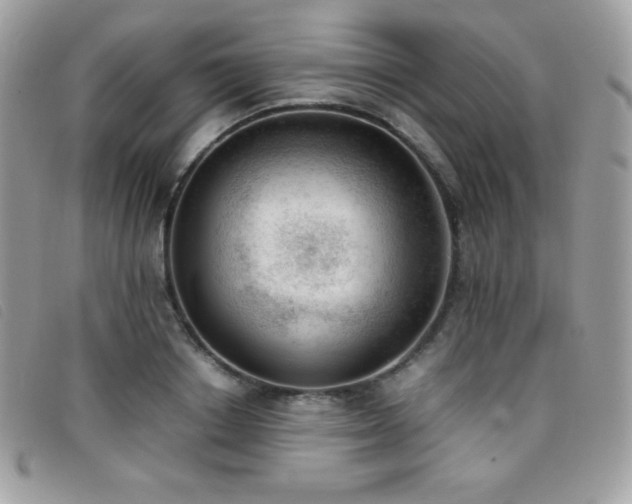 X0000095890842200801111154