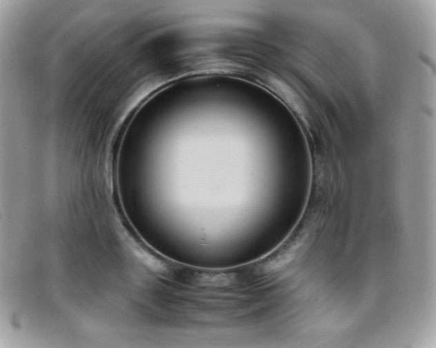 X0000095890843200801111154