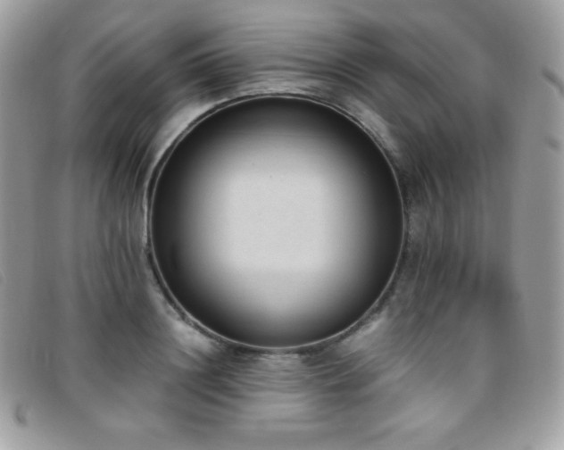 X0000095890844200801111154