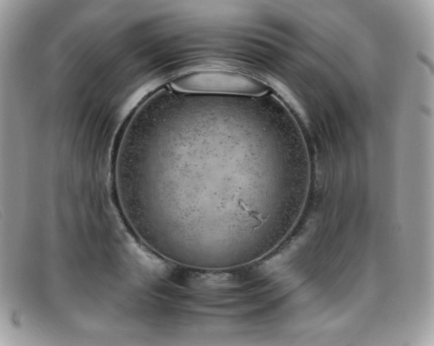 X0000095890845200801111154