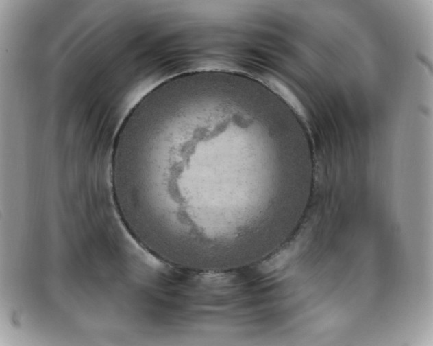 X0000095890847200801111154