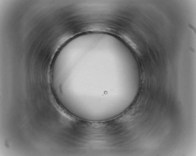 X0000095890848200801111154