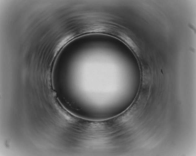 X0000095890850200801111154