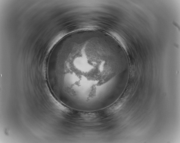 X0000095890851200801111154