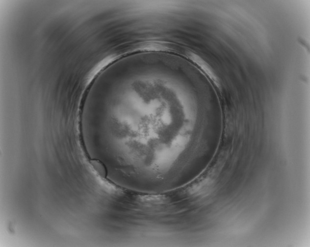 X0000095890853200801111154