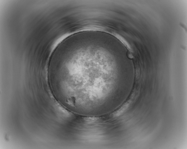 X0000095890854200801111154