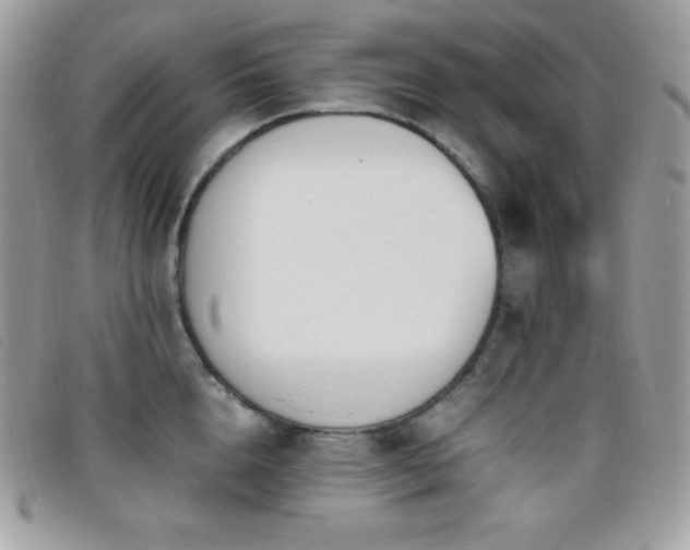 X0000095890856200801111154