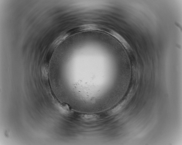 X0000095890857200801111154
