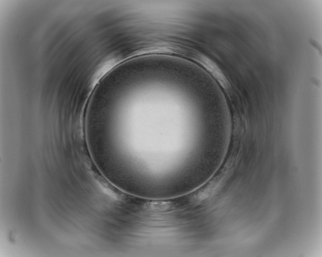 X0000095890858200801111154