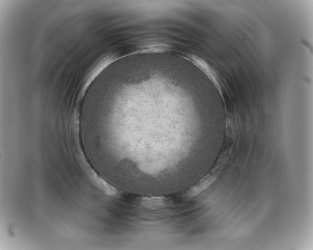 X0000095890859200801111154