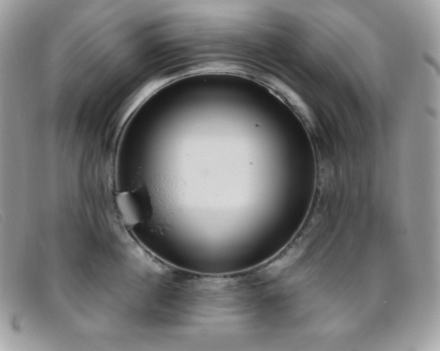 X0000095890860200801111154