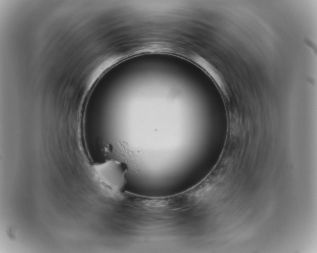 X0000095890861200801111154