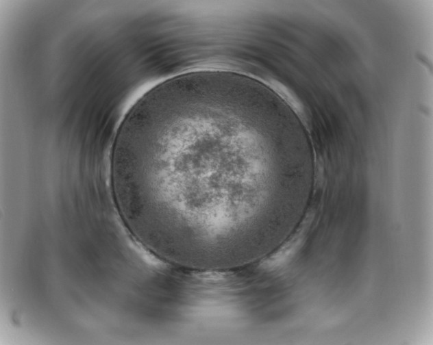 X0000095890862200801111154