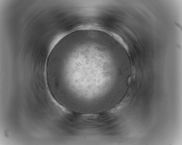 X0000095890863200801111154