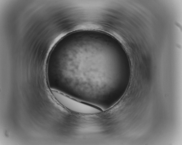 X0000095890864200801111154