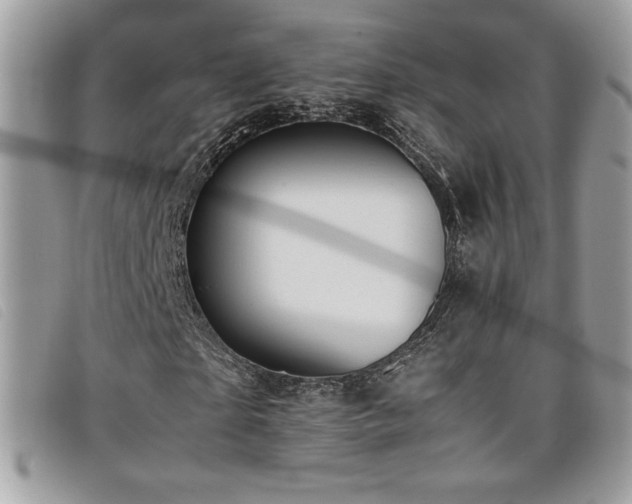 X0000095890865200801111153