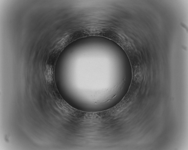 X0000095890866200801111153