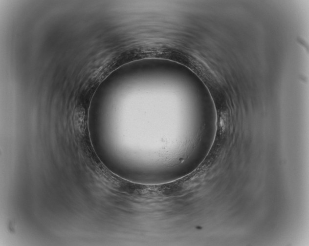 X0000095890867200801111153
