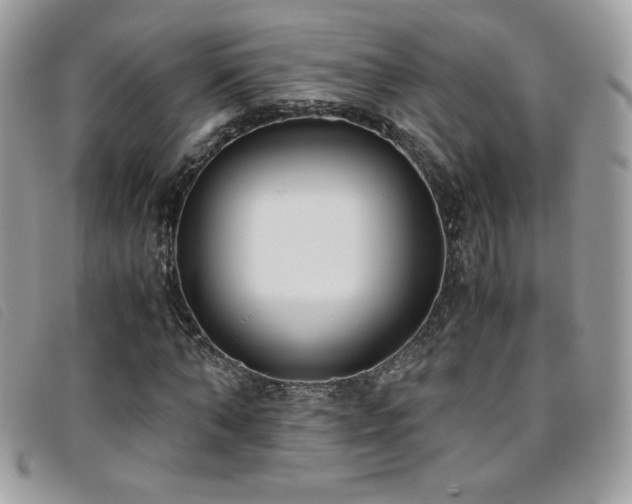 X0000095890870200801111153