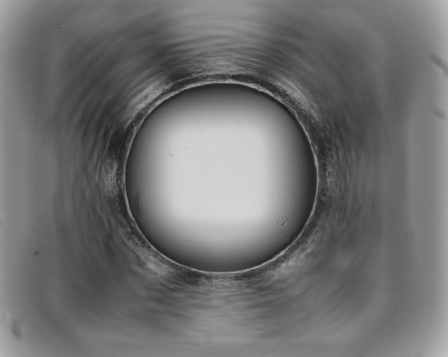 X0000095890873200801111153