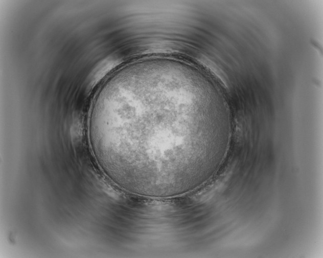 X0000095890874200801111153
