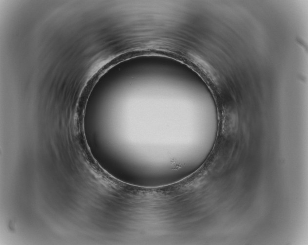 X0000095890876200801111153