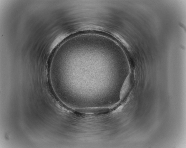 X0000095890877200801111153