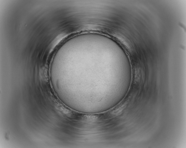 X0000095890878200801111153