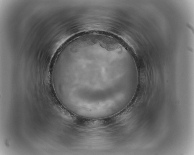 X0000095890879200801111153