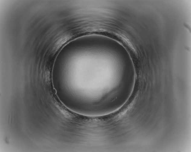 X0000095890881200801111153