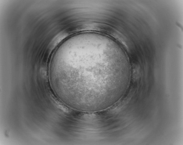 X0000095890882200801111153