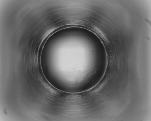 X0000095890884200801111153