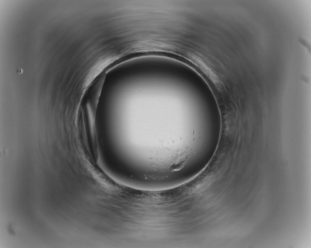 X0000095890885200801111153