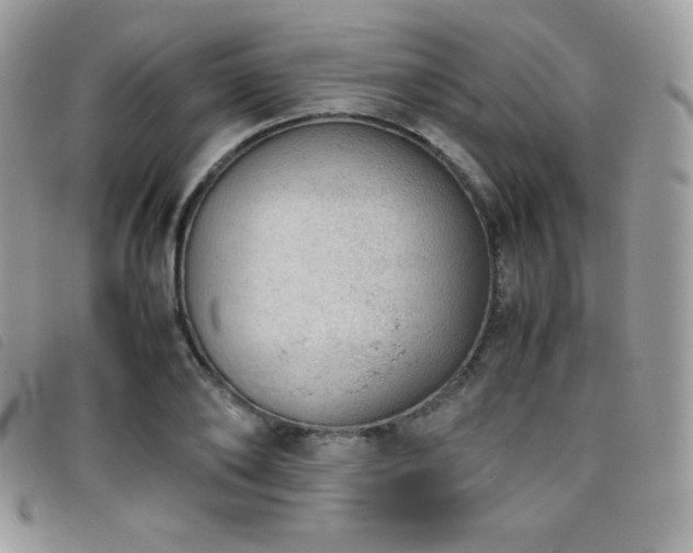 X0000095890886200801111153