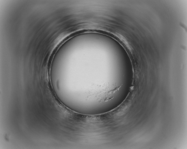 X0000095890887200801111153