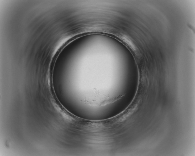 X0000095890888200801111153