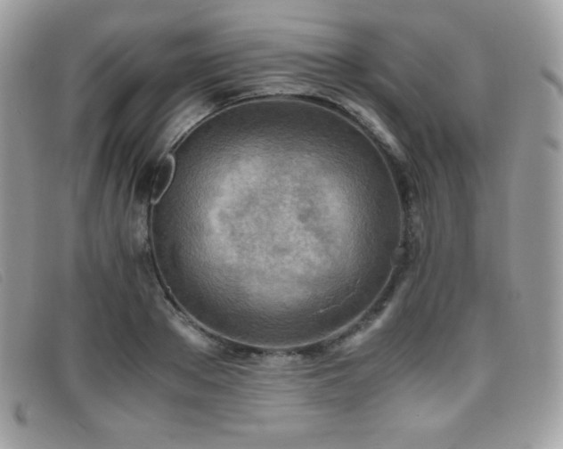 X0000095890889200801111153