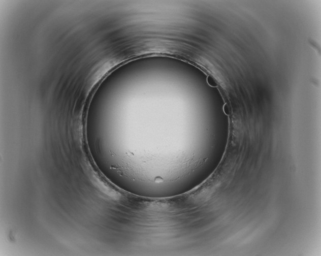 X0000095890890200801111153