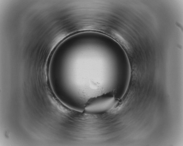 X0000095890892200801111153